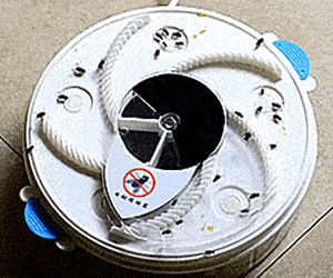 Revolving Fly Trap