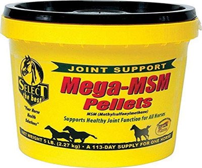 Premium MSM Pellets for Horse Joint Health