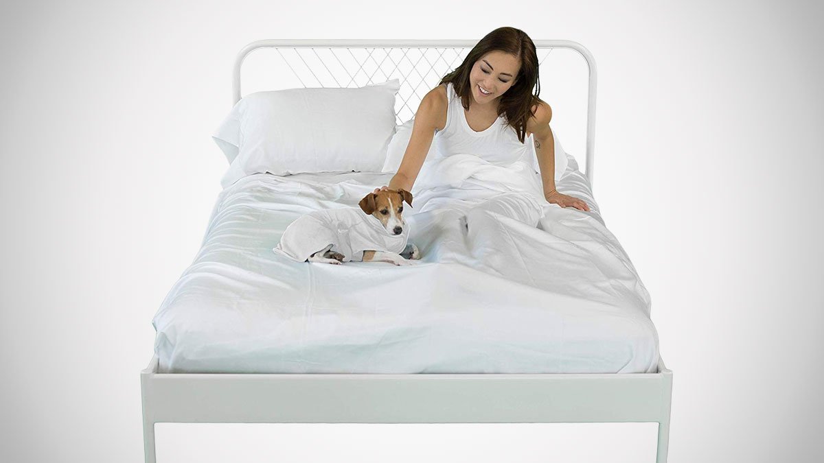 Sheets & Giggles Eucalyptus Lyocell Sheets