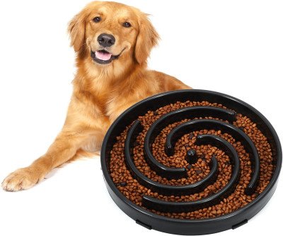 Slow Feeder Dog Bowl: Healthier Meal Times