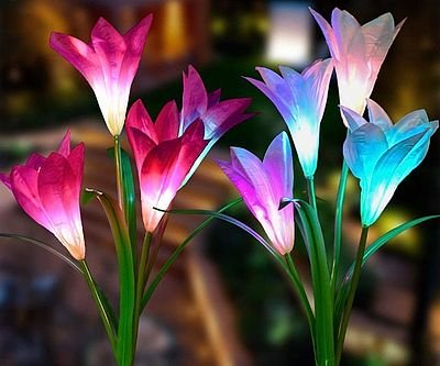 Solar Powered Lilies