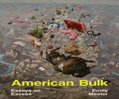 Tackling Consumption: Essays on Excess
