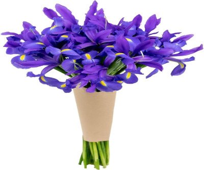Telstar Iris Bouquet: Fresh Flowers That Bloom Into Beauty