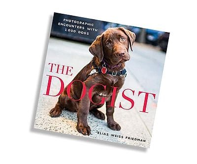 The Dogist: Photographic Encounters with 1,000 Dogs