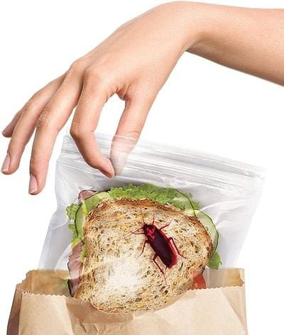 Theft Deterrent Gross Sandwich Bags