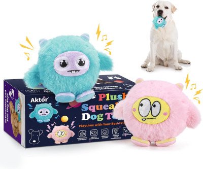 Tough Chew Toys That Last - 2 Pack