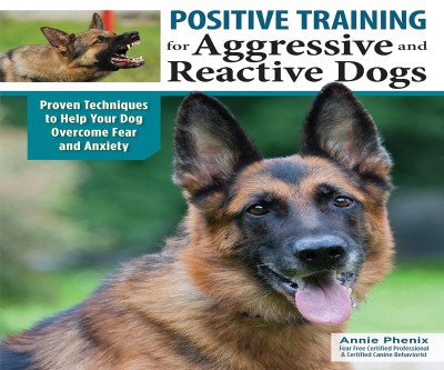 Transform Your Aggressive Dog with Positive Training Techniques