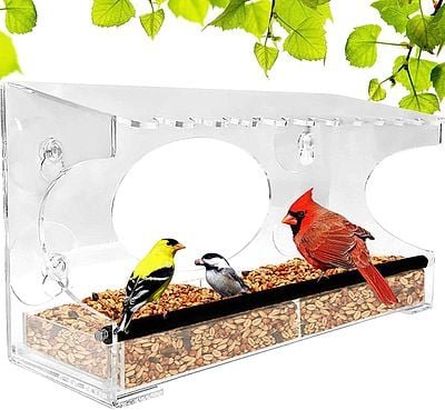Transparent Bird Feeder