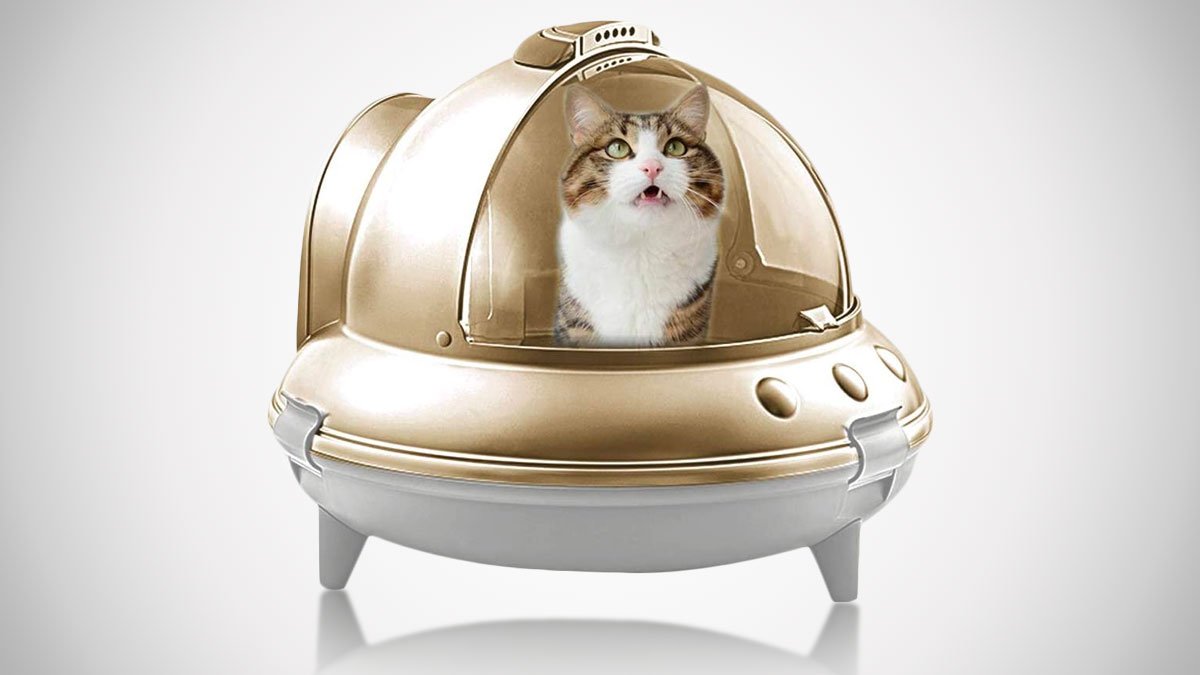 UFO Cat Litter Box