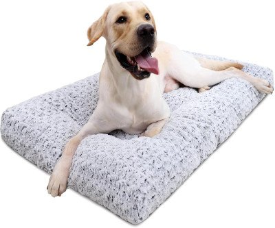 Ultra-Comfy Dog Bed - 3.5