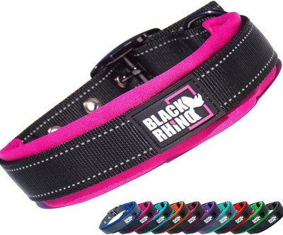 Ultra Soft Neoprene Dog Collar - Comfort & Safety First