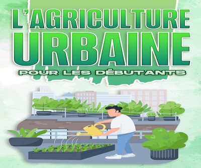 Urban Farming for Beginners: Grow Fresh Food Anywhere