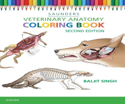 Master Veterinary Anatomy Through Coloring