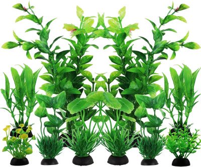 Vibrant Green Aquarium Plants for Your Fish Tank