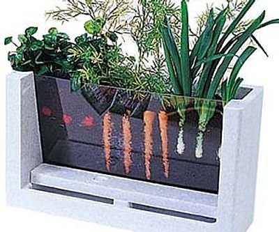 Viewable Root Garden