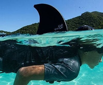 Wearable Shark Fin