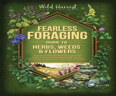 Wild Food Unlocked: Identify Edible Plants with Confidence