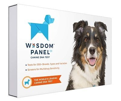 Wisdom Panel 3.0 Canine DNA Test