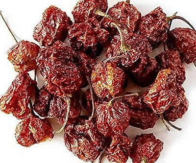 World’s Hottest Chili Pepper