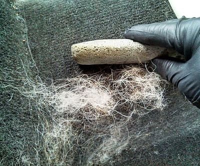 World’s Ugliest Pet Hair Remover