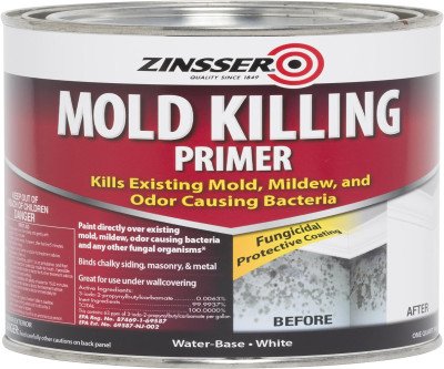 Zinsser Mold Killing Primer: Kills & Prevents