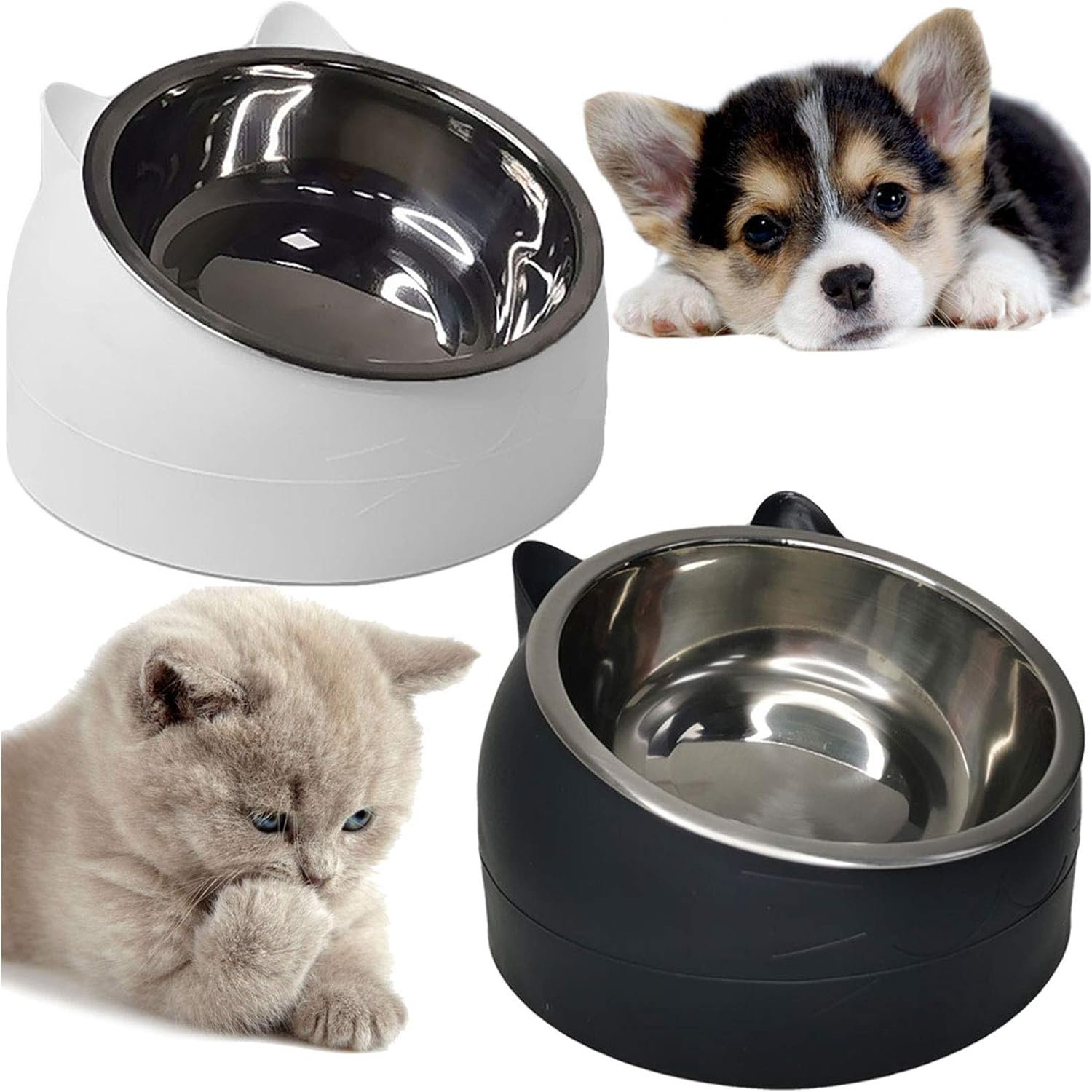 Tilted Pet Bowls - Easier Eating for Small Breeds