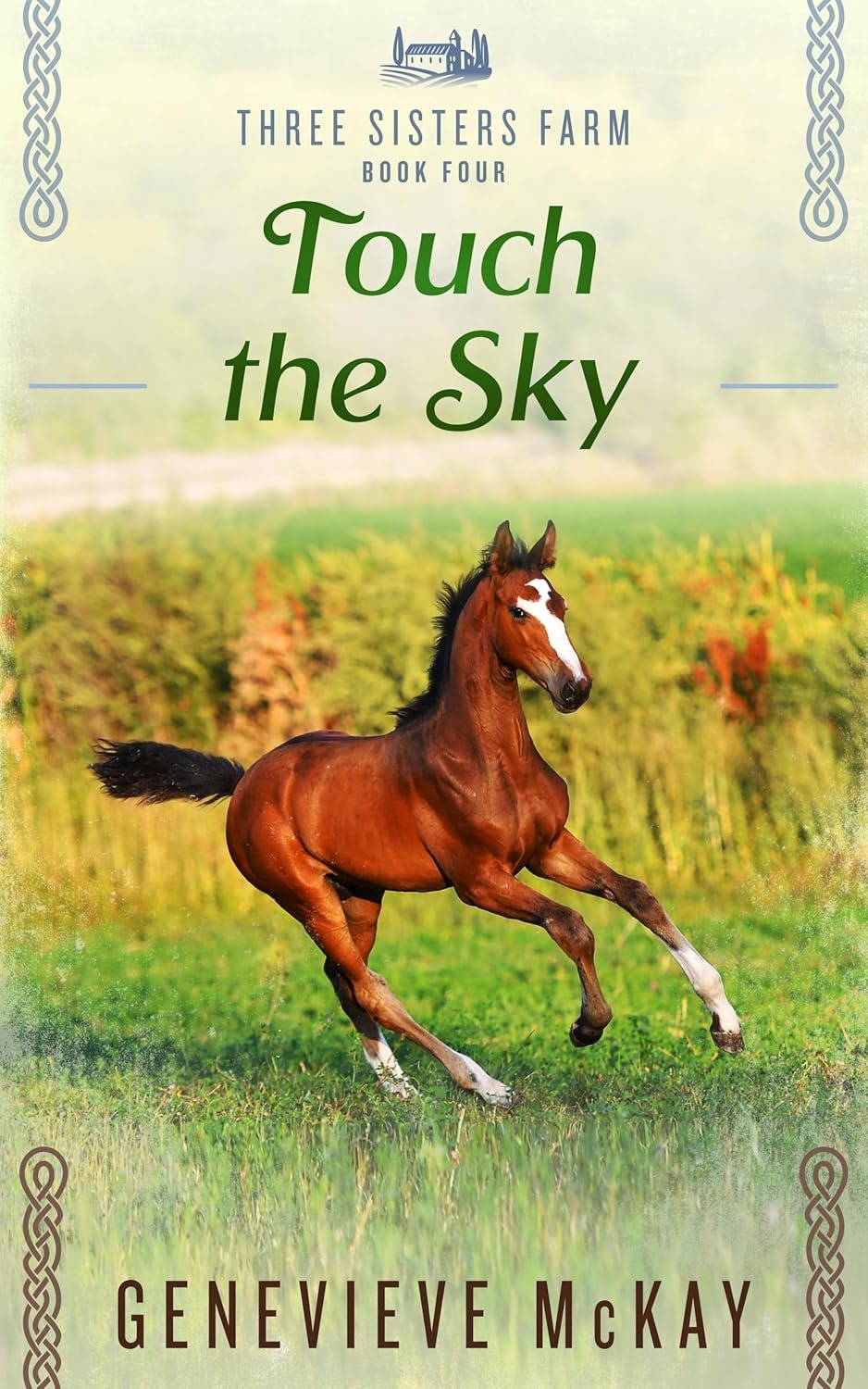 Touch The Sky: Where Horses Heal Hearts