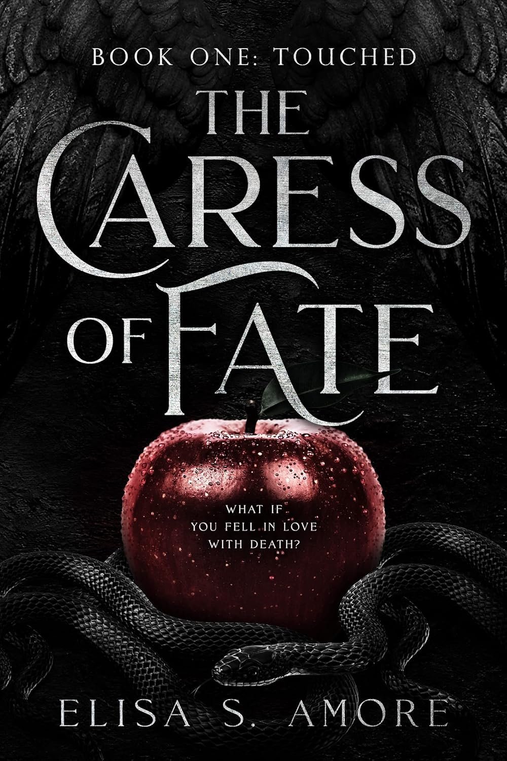 Forbidden Love with a Grim Reaper: Touched Saga