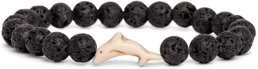 Track a Wild Dolphin from Your Wrist