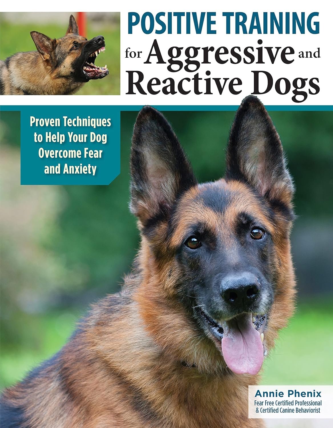 Transform Your Aggressive Dog with Positive Training Techniques