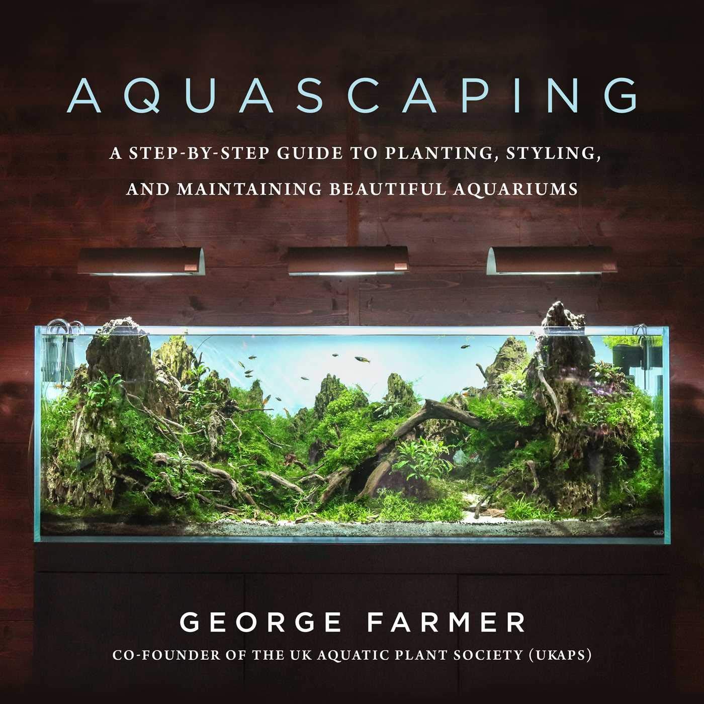 Transform Your Aquarium with Expert Aquascaping Techniques