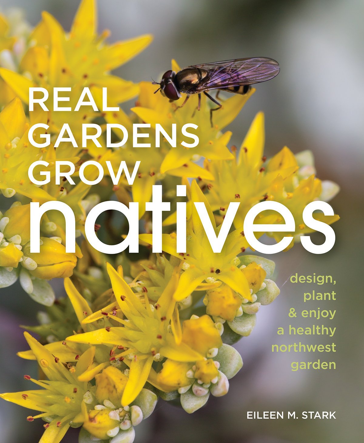 Transform Your Yard with Native Plants for a Vibrant Garden