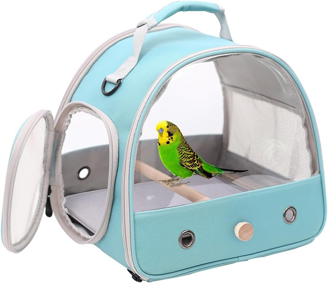 Travel With Your Feathered Friend in Comfort