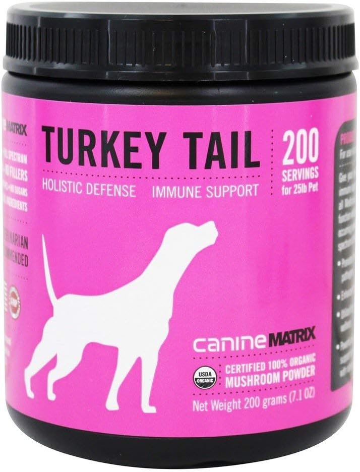 Turkey Tail Immune Support for Dogs - Organic Mushroom Powder