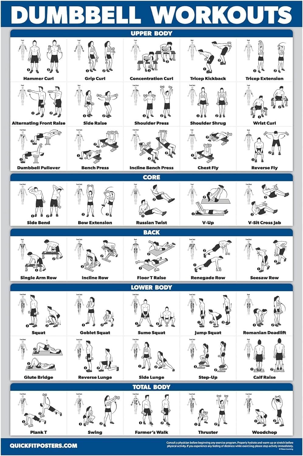 Ultimate Dumbbell Workout Poster for Home Gyms