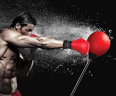 Ultimate Punching Bag Set