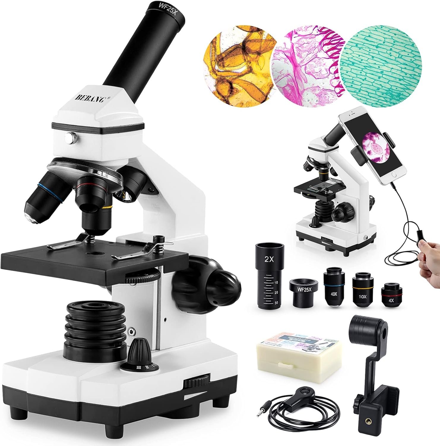Unlock Hidden Worlds: 2000X Microscope Complete Educational Kit