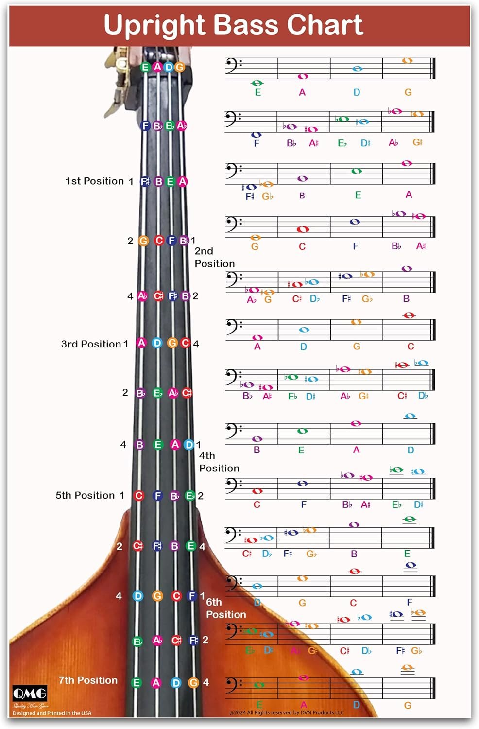 Master the Upright Bass with This Color-Coded Fingering Chart