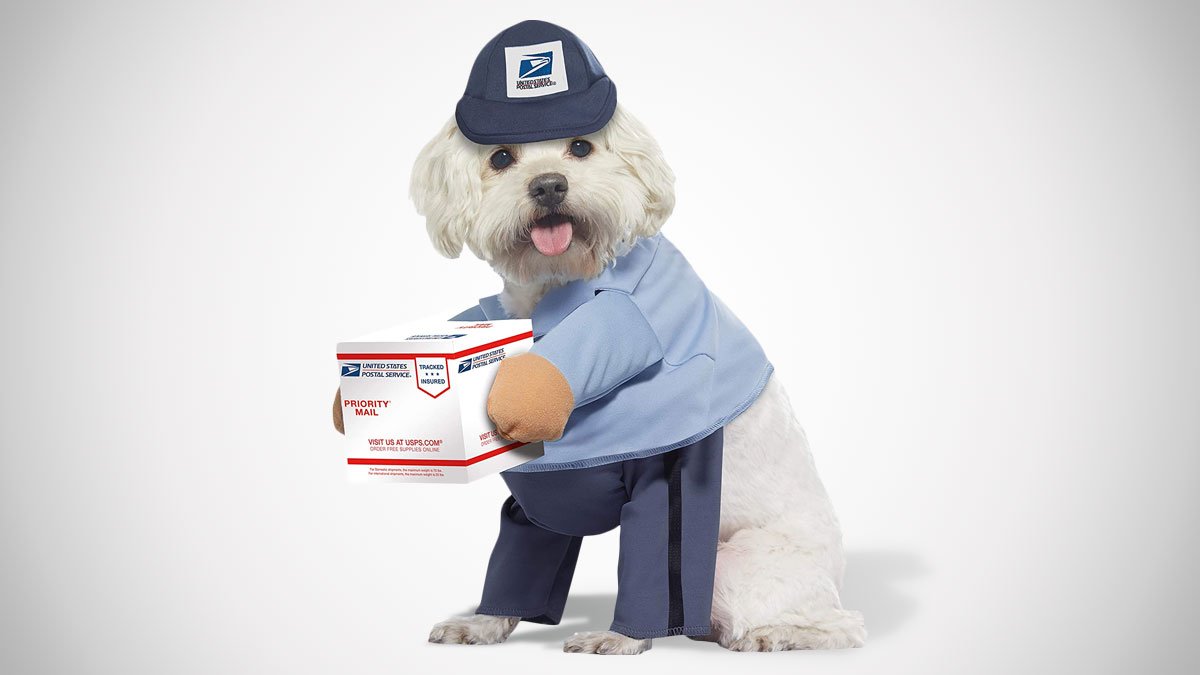 USPS Mail Carrier Dog Costume