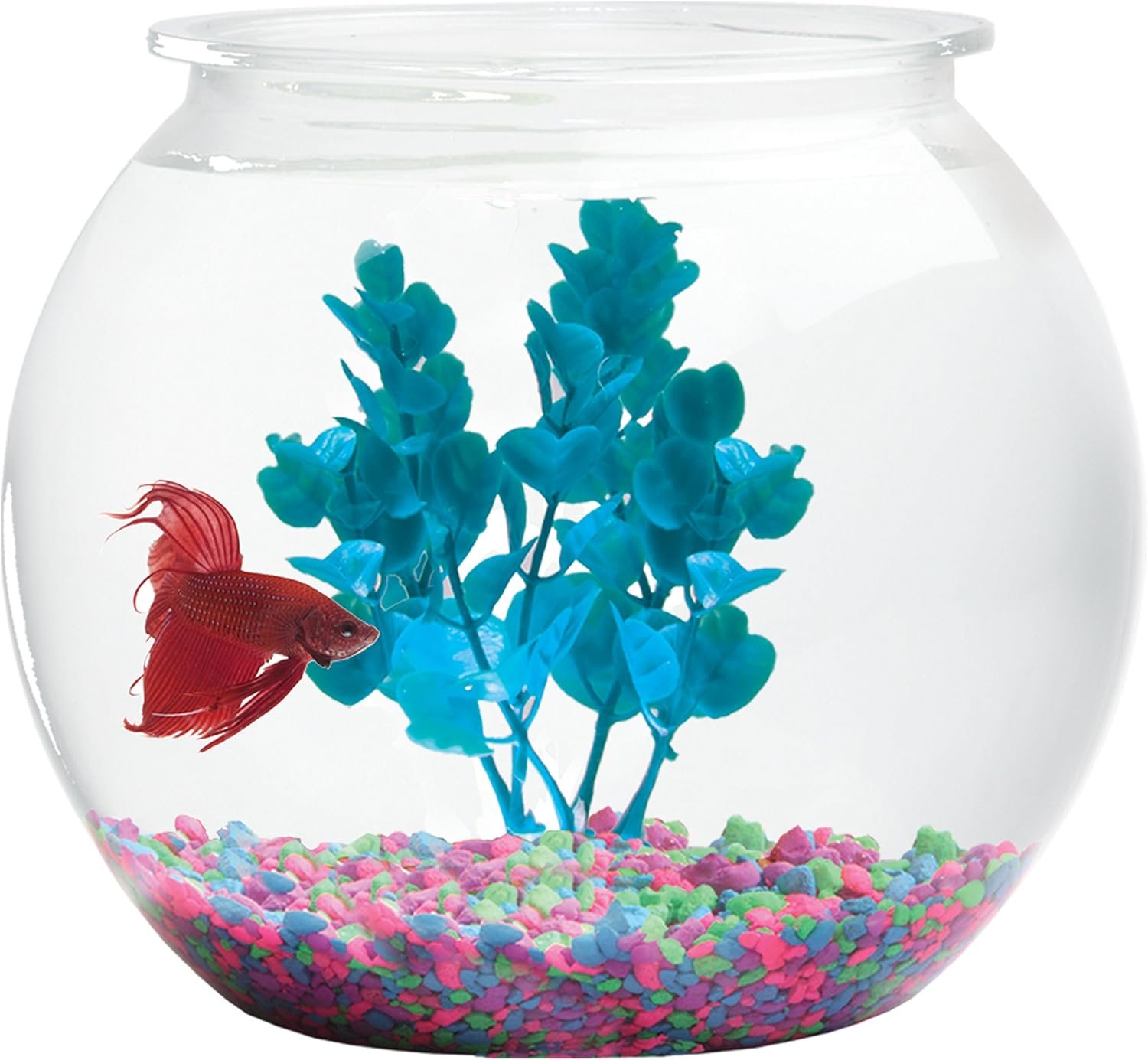 Versatile 1 Gallon Fish Bowl for Home and Parties