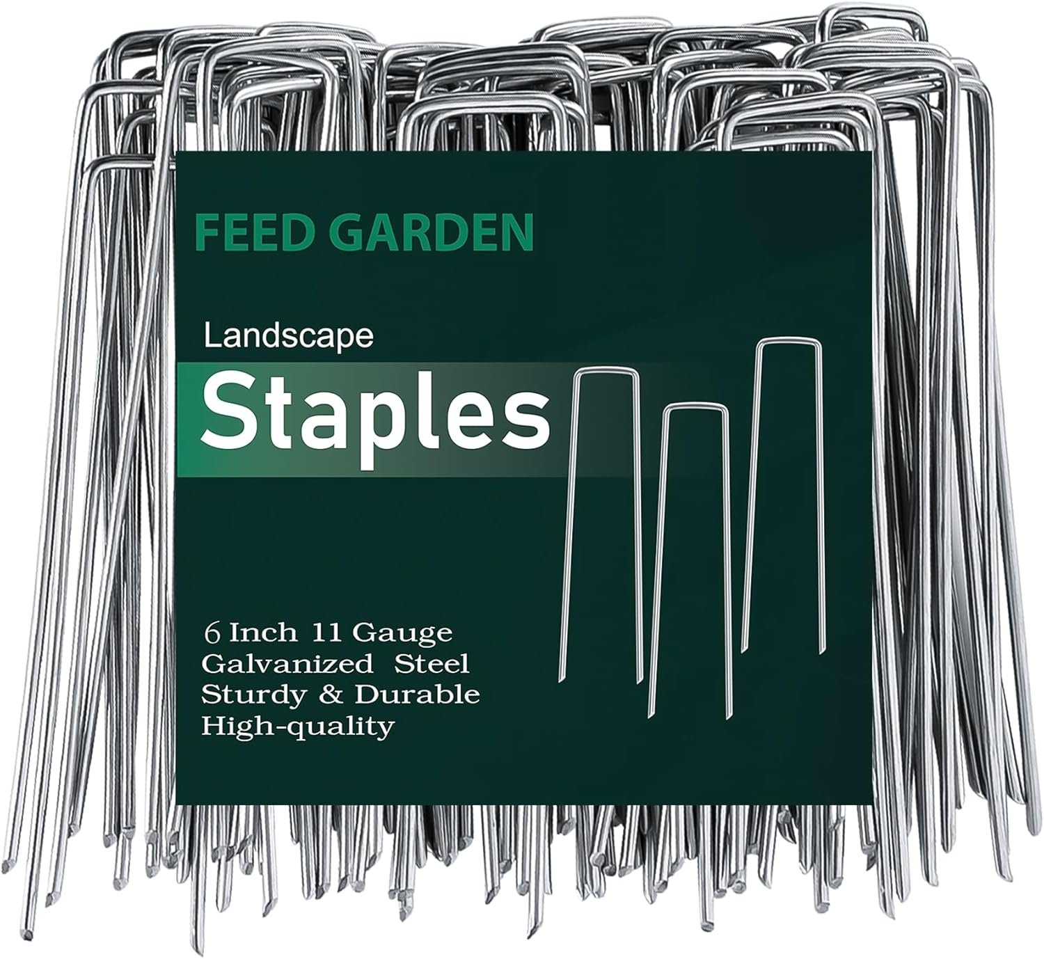 Versatile Landscape Staples for Gardeners