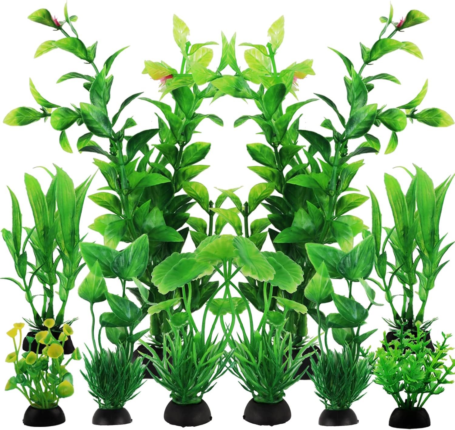 Vibrant Green Aquarium Plants for Your Fish Tank