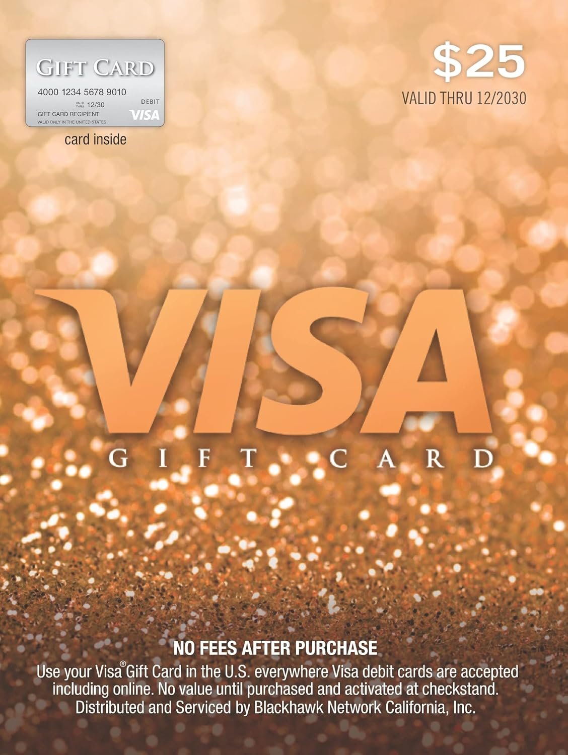 $25 Visa Gift Card - Perfect for Any Occasion