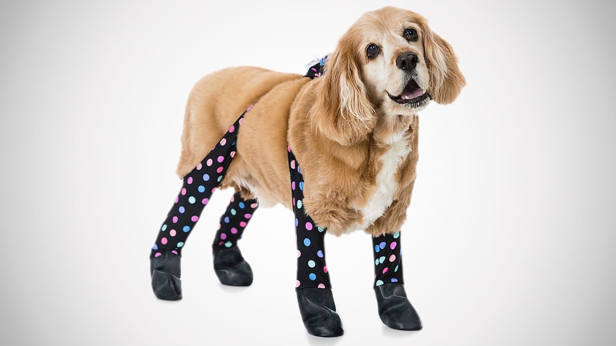 Walkee Paws Waterproof Dog Leggings