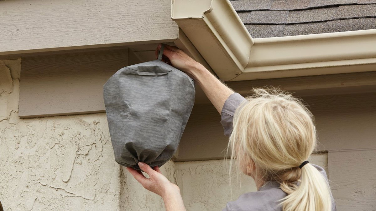 Waspinator Wasp Nest Decoy