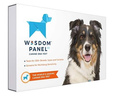 Wisdom Panel 3.0 Canine DNA Test