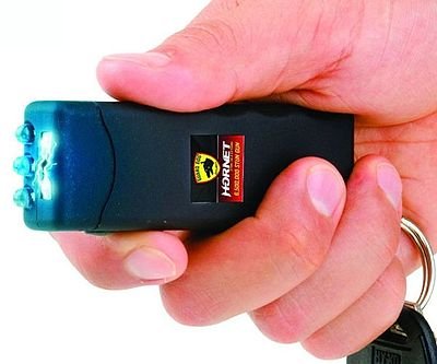 World’s Smallest Stun Gun