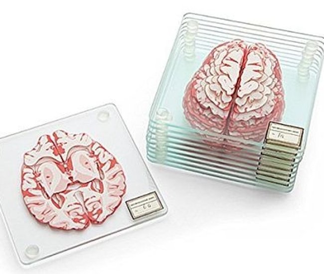 Anatomical Brain Specimen Drink Coasters