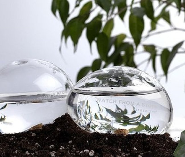 Automatic Self-Watering Plant Globes