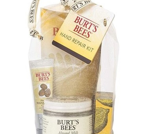 Burt's Bees Hand Repair Gift Set